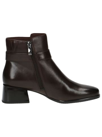 Caprice Stiefelette in DK BROWN NAPPA