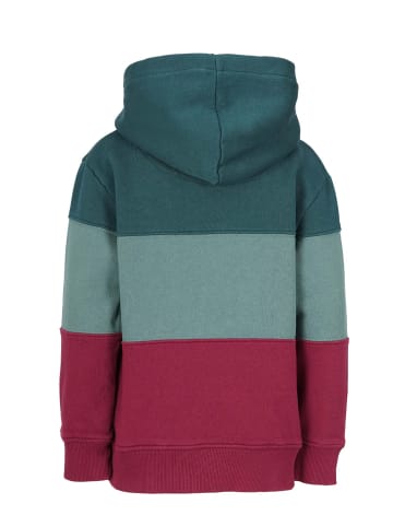 Band of Rascals Kapuzenpullover " 3C Block " in racing-green-bordeaux