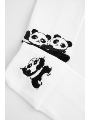 Coccodrillo Socken in bunt