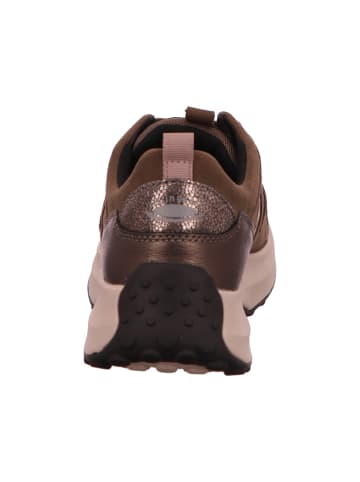 Gabor Schnürschuh in braun