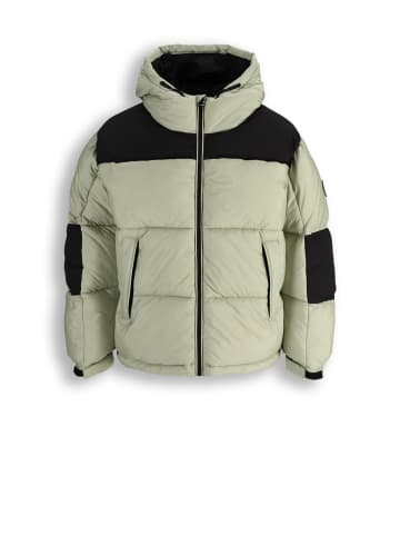 Coccodrillo Gesteppte Winterjacke in grün