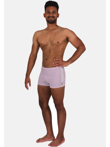 wavebreaker Badehose in blau/weiß