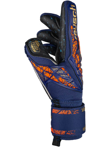 Reusch Torwarthandschuh Attrakt Fusion Guardian Junior in 4411 premium blue/gold/black