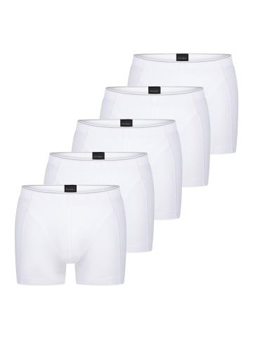 Schiesser Retro Short / Pant 95/5 Originals Organic Cotton in Weiß