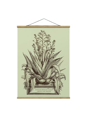 WALLART Stoffbild - Vintage Aloe Vera Americana Major in Pastell