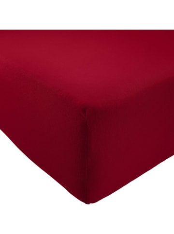 REDBEST Single-Jersey Spannbettlaken Pittsburgh in bordeaux