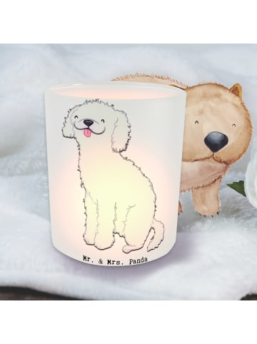 Mr. & Mrs. Panda Garten Windlicht Kleinpudel Lebensretter ohne S... in Transparent