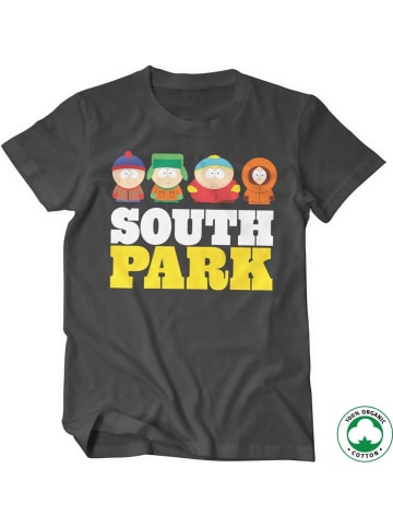 South Park T-Shirt in Grau
