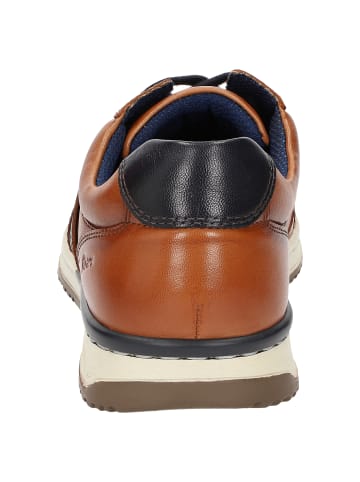 Sioux Sneaker Cayhall-702 in cognac