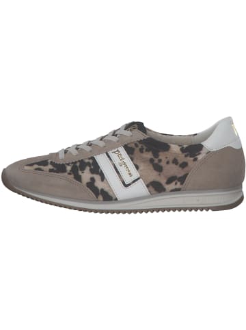 Paul Green Schnürschuhe in sand/leo