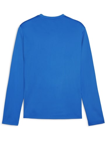 Puma Pullover "TeamGoal Training Sweat" in Blau