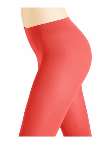 Falke Leggings 1er Pack in Orange (8655)