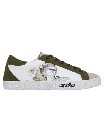 Dogo DOGO Ink - Apollo