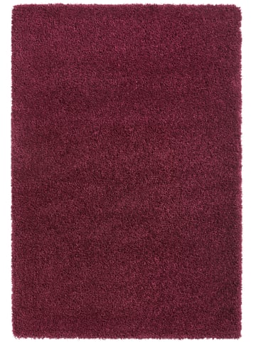 Tara Carpet Hochflorteppich Twilight in Bordeaux