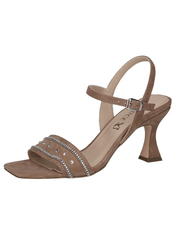 Caprice Sandalette in TAUPE SUEDE