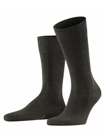 Falke Socken 1er Pack in Dunkelbraun