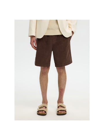 Selected Short in bracken
