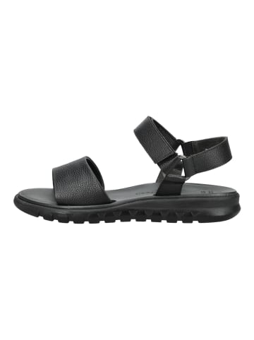 Paul Green Sandalen in Black