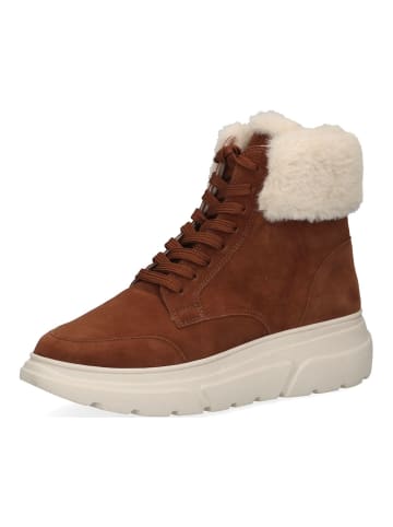 Caprice Sneaker in Cognac