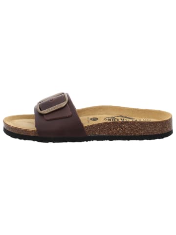 Plakton Klassische Pantolette in braun