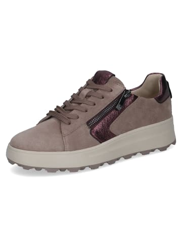 Caprice Sneaker Sneaker in taupe