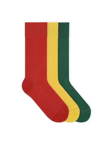 von Jungfeld Classic Socken-Set Signature Innenbund in Lights