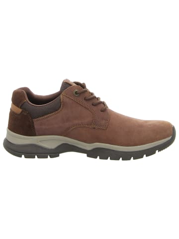 Camel Active Schnürschuh in braun