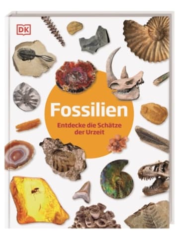 Dorling Kindersley  Buch - Fossilien