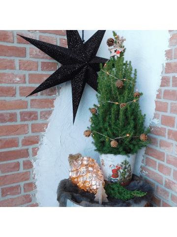 NatureNest Weihnachtsbaum mit Beleuchtung Pineconelight im Weihnachtsmann-Topf  