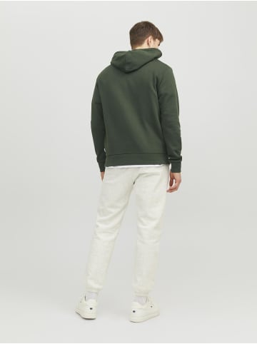 Jack & Jones Kapuzenpullover in Mountain View