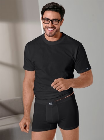 Kumpf Body Fashion Shirt in 2 Stück schwarz