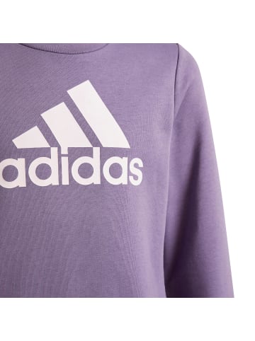 Adidas Sportswear Sweatshirt in shadow violet-clear pink