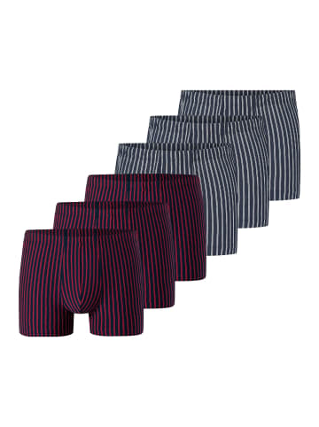 Schiesser Retro Short / Pant 95/5 Essentials in Rot / blau