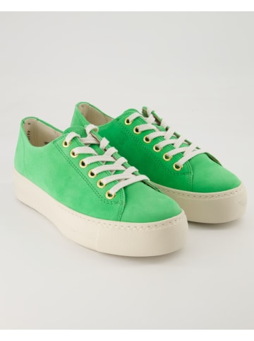 Paul Green Sneaker in Grün