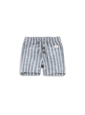 Coccodrillo Kurze Hose  in bunt