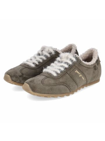 Paul Green Low Sneaker in grün