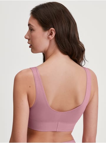 Calida Bustier in lilas