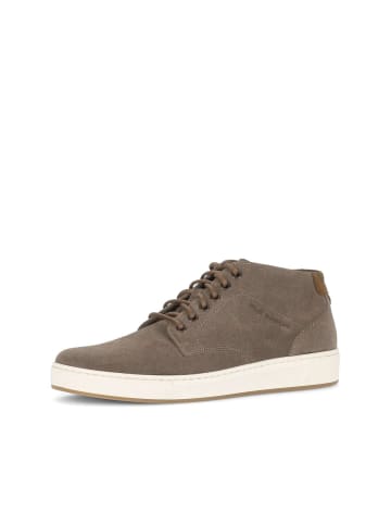 Gabor Sneaker low in braun