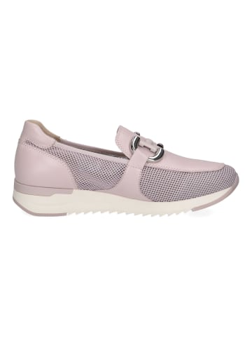 Caprice Slipper Purple