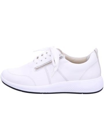 Solidus Sneaker Low in weiß