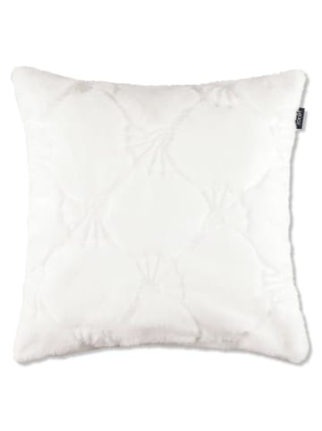 JOOP! JOOP! Kissenhüllen Cozy Cornflower Weiß - 001 in Weiß - 001