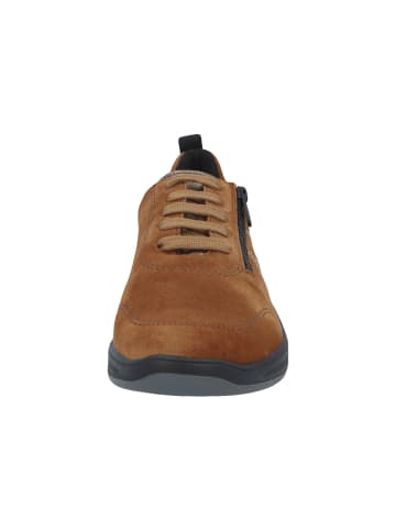 Solidus Damen- Schnürschuhe Halea - Weite H in Braun