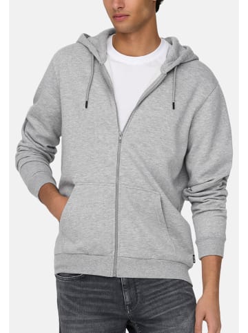 ONLY & SONS Sweatjacke / Hoodie Ceres in Hellgrau
