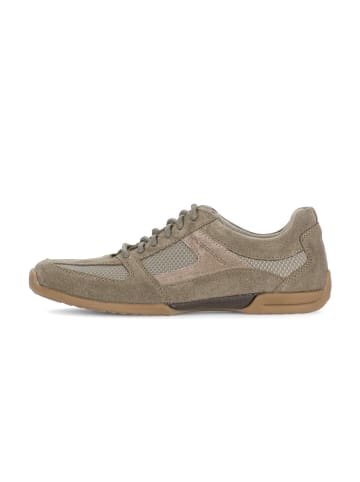 Gabor Sneaker low in grün