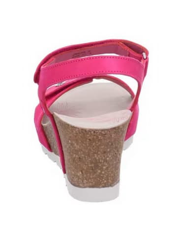 PANAMA JACK Schnürschuh in sonstige