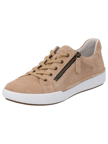 Josef Seibel Schnürschuhe in Beige