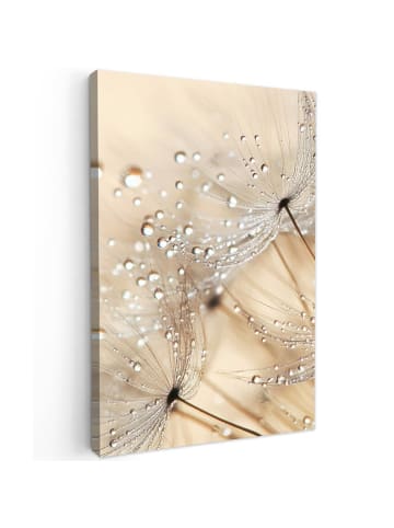 MuchoWow Poster mit Leiste Tropfen (BxH)