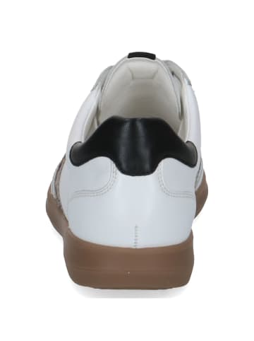 Caprice Schnürschuhe in white comb i