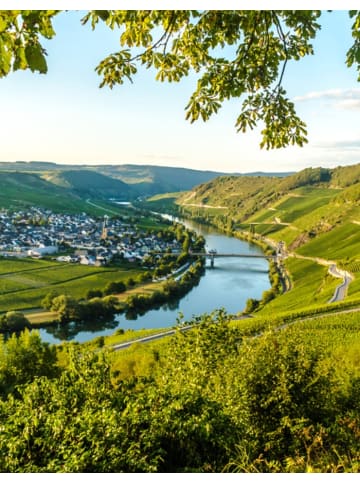 animod Boutiquehotel Kloster Pfalzel in Trier: Idyllische Auszeit an der Mosel 
