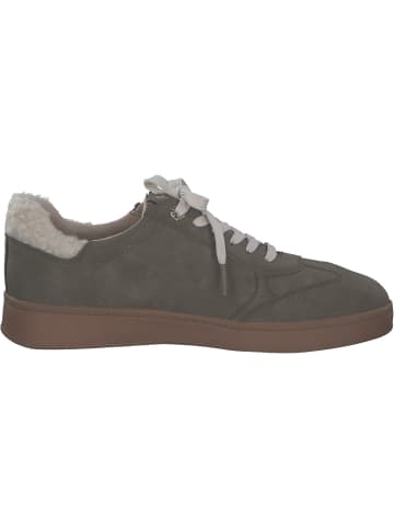 Marco Tozzi Schnürschuhe in TAUPE COMB